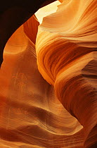 Abstract of sandstone formation, Corkscrew Canyon, Arizona, USA.