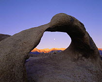 Moonset over arch, Alabama Hills, Mt Whitney, Sierra Mountains, California, USA