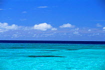 Looking out to deeper water, North Malé Atoll, Maldives, Indian Ocean Islands