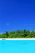 Looking back to North Malé Atoll, Maldives, Indian Ocean Islands - blue sky, turquoise sea, beach and palm trees