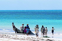 Women pulling in fishing nets off the east coast of Zanzibar Island, Tanzania