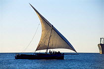 Traditional fishing dhow in full sail off Zanzibar Island, Tanzania, Africa.