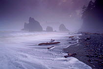 Ruby Beach in stormy conditions, July 1995. Olympic NP, Washington, USA