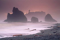 Ruby Beach in stormy conditions at sunset, Olympic NP, Washington State, USA