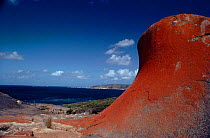 Granite rock sculptures. Flinders Chase NP, Kangaroo Island, South Australia