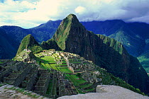 Inca ruins (taken from south) Huuauna Picchu in background. Machu Picchu, Peru, South America