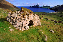 Cleits behind Village Bay (Dun and Ruaivel in background). St Kilda, Scotland, UK, Europe