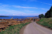 Coastal Sawmill industry, Vancouver Island, British Columbia, Canada
