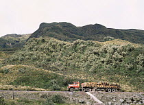 Truck transporting timber from the rainforest across the Andes to Quito, Ecuador.