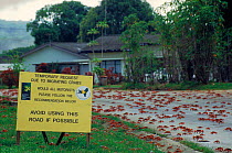 A sign for crab migration crossing - 'Avoid using this road'. Christmas Island