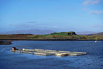 Salmon farm near Oban (Salmo salar) Scotland