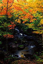 Kakabicka Falls in autumn. Michigan, USA