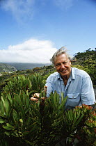 David Attenborough with (Protea sp) plant, Cape Point, South Africa, on location for BBC Private Life of Plants, 1993