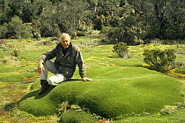 Sir David Attenborough sitting on Giant Cushion plant. Mt. Ann Tasmania, on location for "Private Life of Plants" 1993