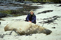 Chris Packham with southern elephant seal, Seal Island Falkland Islands Sea Lion Island on location for the  Really Wild Show, 1994