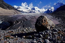 'Morteratsch' glacier, Switzerland, Engadine