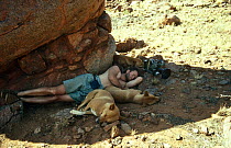 Cameraman Simon King sleeping in shade with Dingoes, Australia. On location for the BBC programme