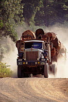 Lorry transporting timber logged from primary rainforest, Sabah, Borneo, Malaysia