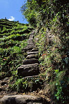 Steps to Huayna Picchu (Young Mountain), Machu Picchu, Peru