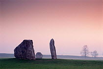 Dawn at Avebury stone circle Wiltshire, UK