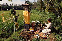 Pregnant woman rice ceremony, Bali, Indonesia.