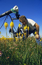 Cameraman Tim Shepherd on location in South Africa, filming Bulbinellas for BBC television series "Private Life of Plants", 1994