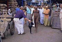Cameraman Martin Dohrn filming Jain monk for  BBC television series, Lifesense, 1990