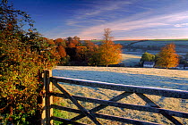 Frosty autumn morning. Near Dorchester, Dorset, England