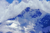 Piz Bernina and Biancograt, Swiss Alps, Switzerland, Europe