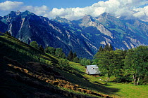Piz Bernina and Biancograt, Swiss Alps, Switzerland, Europe