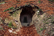 Man-made entrance to bat cave, Germany