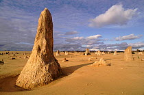 Pinnacle Desert landscape, Western Australia