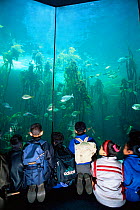 Children watch fish at Two Ocean's Aquarium, Cape Town, South Africa.