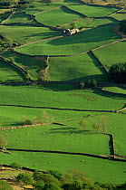 Farmland in Eskdale, Cumbria, England. Grass fields with stone walls