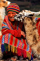Local Indian with Llama. Cusco, Peru. South America.