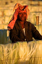 Woman drying sisal on racks, Madagascar, Berenty Reserve.