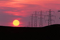 Power transmission. Pylons at sunset in Inverness, Scotland. Tomatin