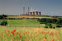 Ferrybridge Power Station and field of poppies, Yorkshire, UK.