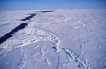 Broken icefields in St. Lawrence Stream, Magdelan Islands, Canada