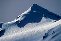 Snow-covered mountains. South Georgia, Antarctica