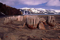 Abandoned wooden whaling cask on beach. Deception Island, Antartica