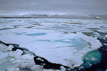 Arctic drift ice near Edgeoya Island, Svalbard, Spitsbergen. Norway