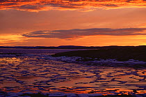 Reflected sunset on sea ice, Wager Bay, NW Territories, Canada