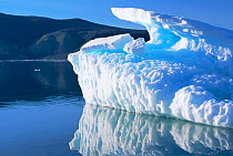 Pack ice in Alexandra fjord, Ellesmere Island, Canada