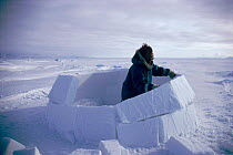 Inuit building igloo on sea ice, sequence. Admiralty inlet Canada