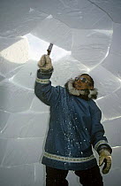 Inuit building igloo on sea ice, Admiralty inlet, Canada, Spring, sequence