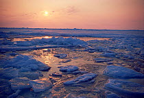 Midnight sun on broken pack ice, Admiralty Inlet ice edge, Canadian Arctic