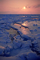 Midnight sun on broken pack ice, Admiralty Inlet ice edge, Canadian Arctic