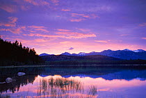 Dawn over Patricia Lake, Jasper NP, Alberta, Canada