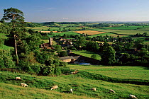 Corton Denham village scene with farmland, Somerset, England.